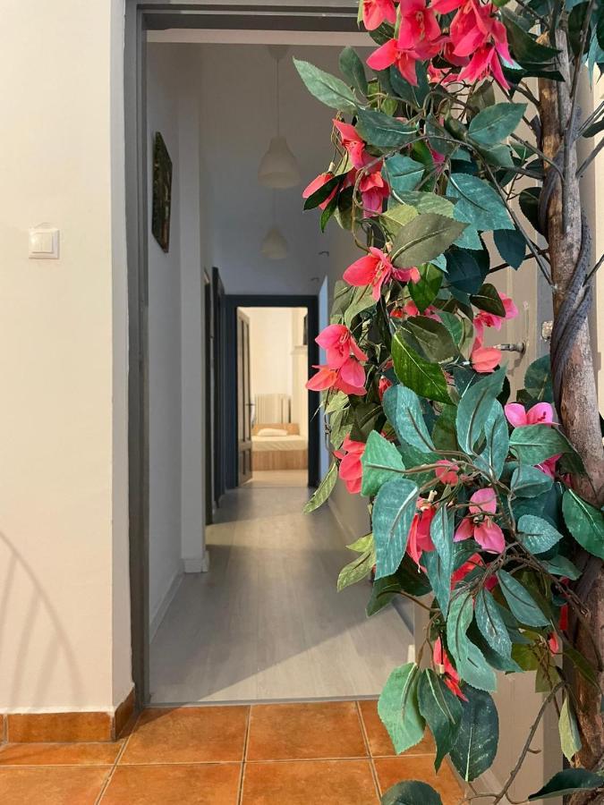 Апартаменты Outstanding 3Br Ultracentral Cityview Balcony Aaa Бухарест Экстерьер фото